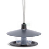 Birdhouse Finch wine red