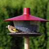 Birdhouse Finch wine red