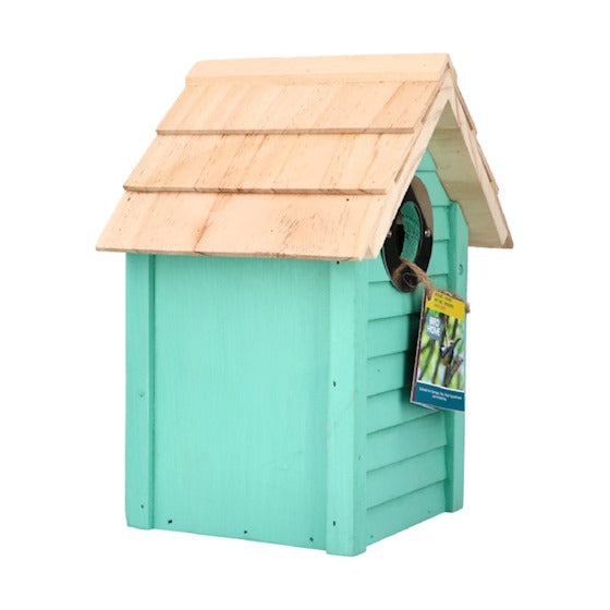 Bird Home Beach Nestkast Curaçao Green