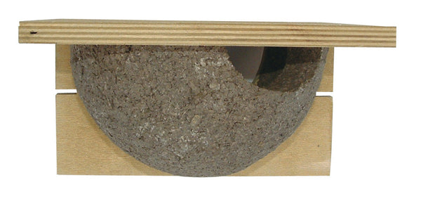 Swallow's Nest Cancun (single)