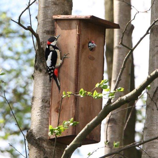 Esschert Design - Nesting box great spotted woodpecker 54cm