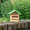 Nature Monuments Combination Box Ladybug/Bee