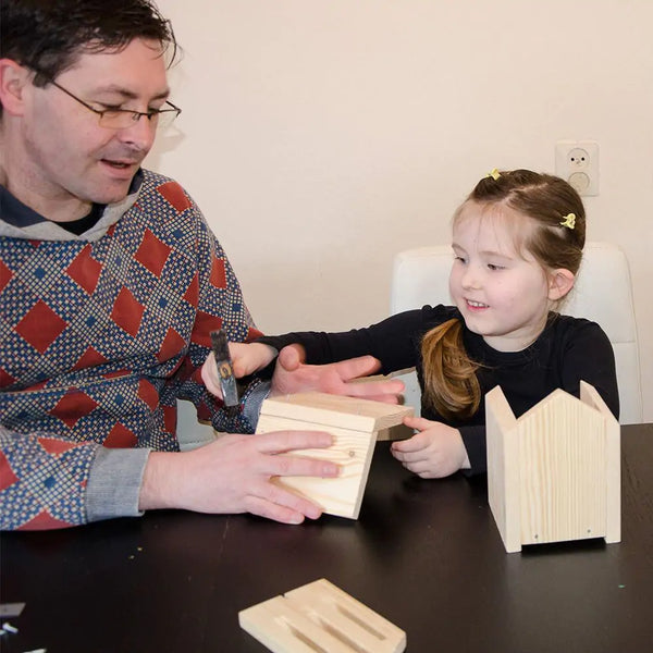 Dana Butterfly House Construction Kit