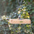 Vogelbescherming - Hangede voedertafel Aarhus