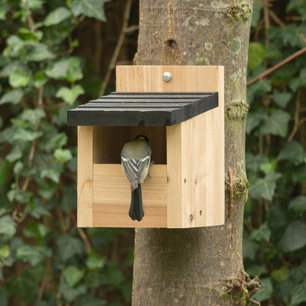 Bird Protection Nesting Box Viborg
