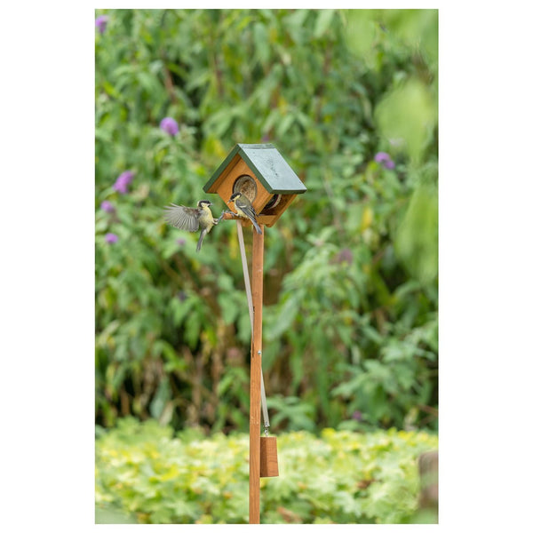 Cork Peanut Butter Jar Holder with Rocker