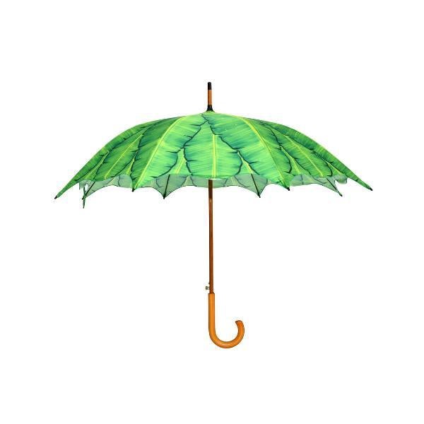 Schirmbananenblätter