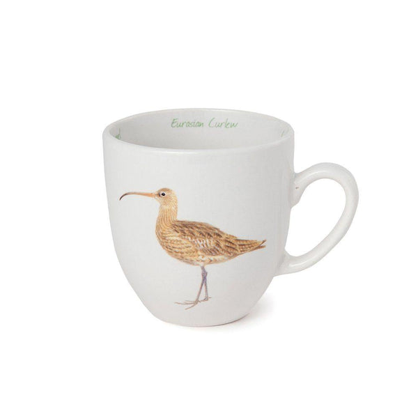 Becher Brachvogel