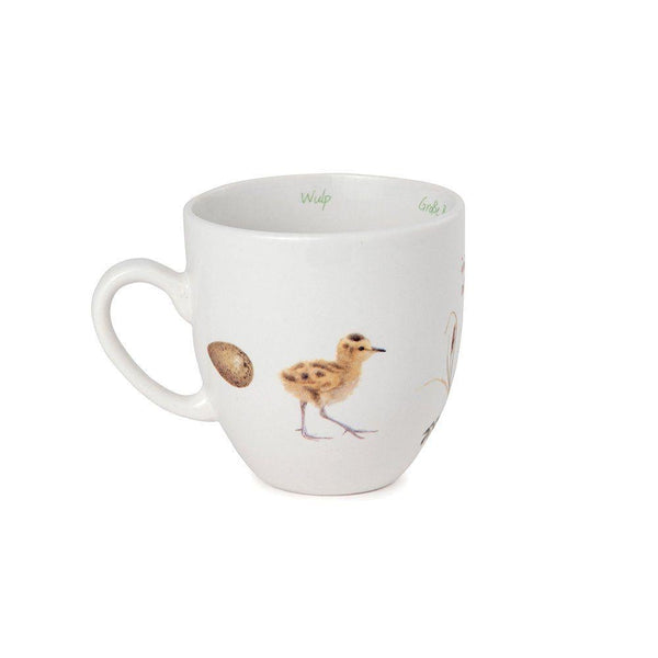 Becher Brachvogel