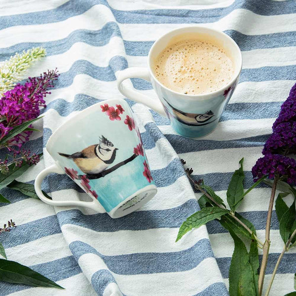 Myrte - Mok Haubenmeise