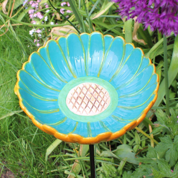 Afrikaanse madeliefjesdrinker