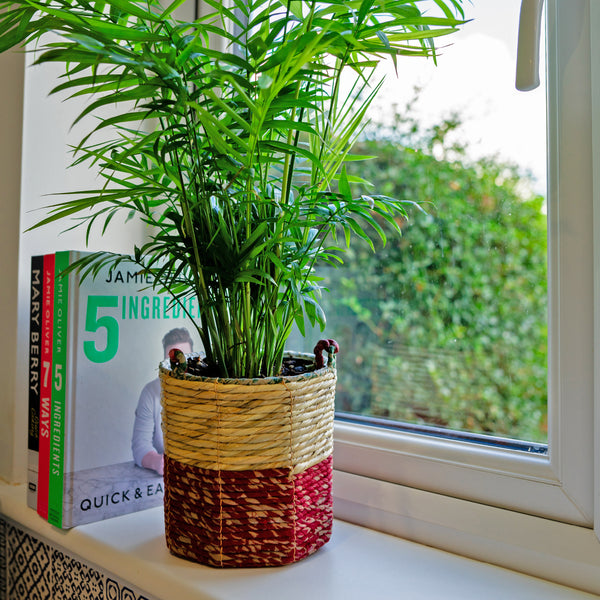 Artisan Hangplantenmand - Medium Cilindrisch