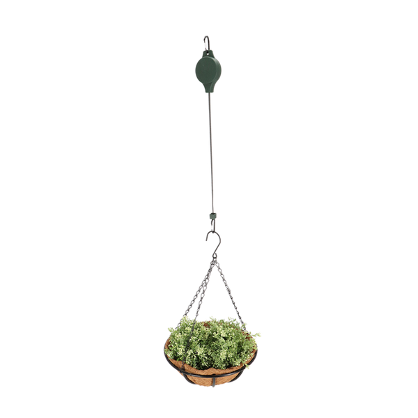 Hanging basket lift