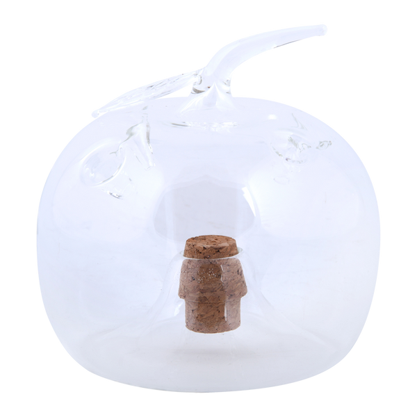 Fruitvliegenval appel