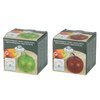 Fruchtfliegenfalle Apfel