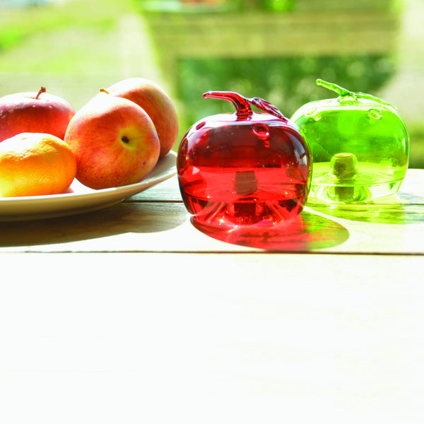 Fruit fly trap apple