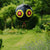 Vogelafweerballon
