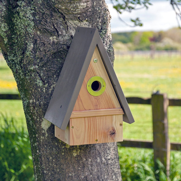 Timeless birdhouse for multiple species
