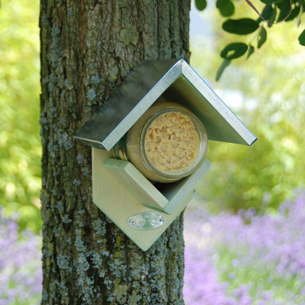 Peanut butter house