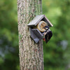 Erdnussbutterhaus aus altem Holz