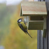 Erdnussbutterhaus aus altem Holz