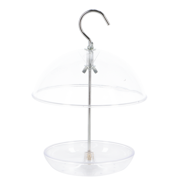 Acrylic robin bird feeder