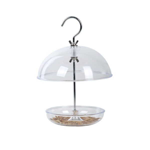 Acrylic robin bird feeder