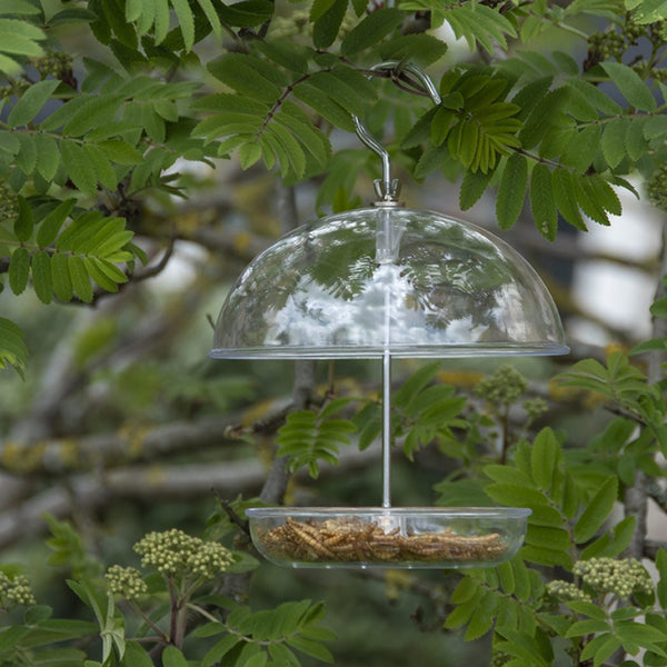 Vogelhäuschen aus Acryl mit Rotkehlchenmotiv