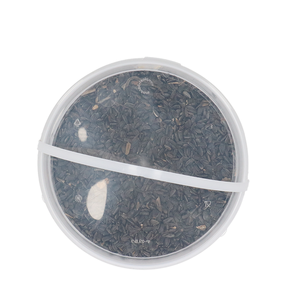 Zwarte zonnebloempitten 2,2 kg in emmer – premium vogelvoer | Rijk aan olie & energie voor tuinvogels