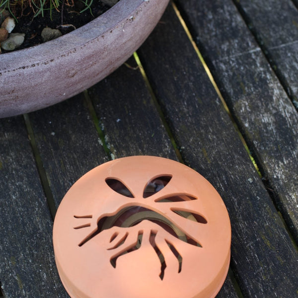 Zitrone. Spiralen Terrakotta