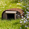 Timeless hedgehog house