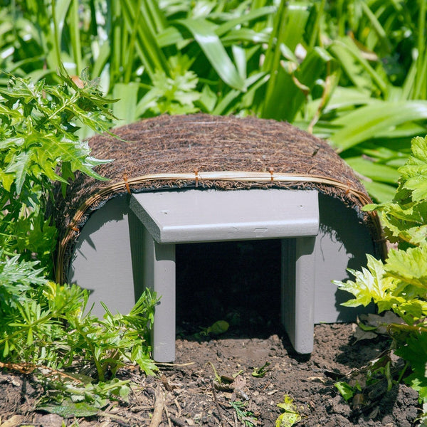 Timeless hedgehog house