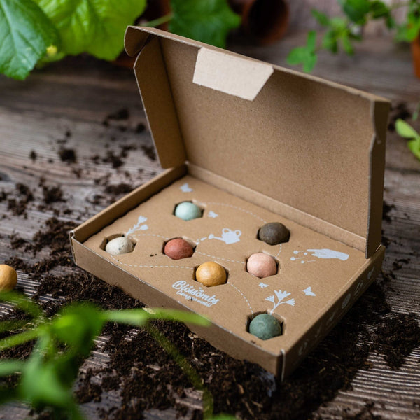 Blossombs - Geschenkbox klein
