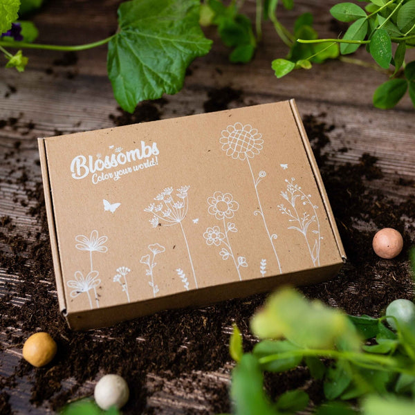 Blossombs - Geschenkbox klein