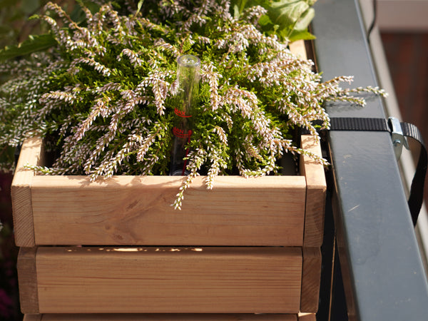 Balkonbar Classic Pine