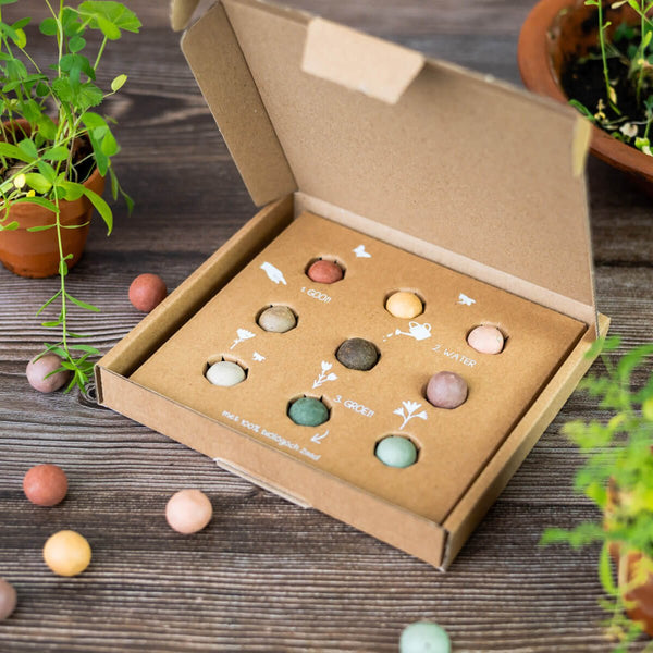 Blossombs - Giftbox Medium