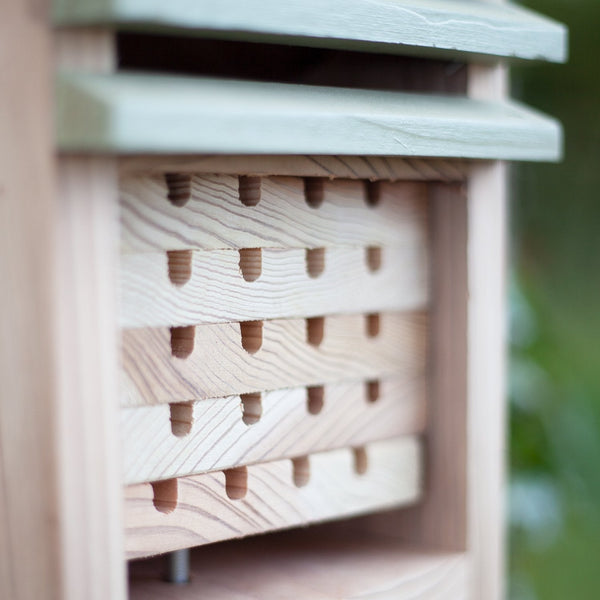 Insectenstudiecentrum