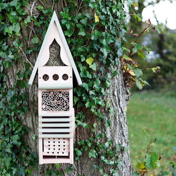 Insektenstudienzentrum