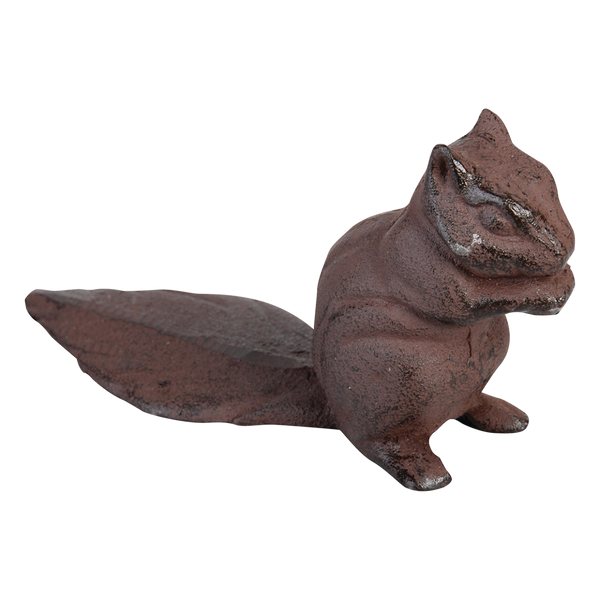 Türkeil Eichhörnchen