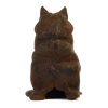 Türkeil Eichhörnchen