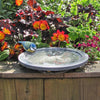 Aristotle Oasis vogelbad