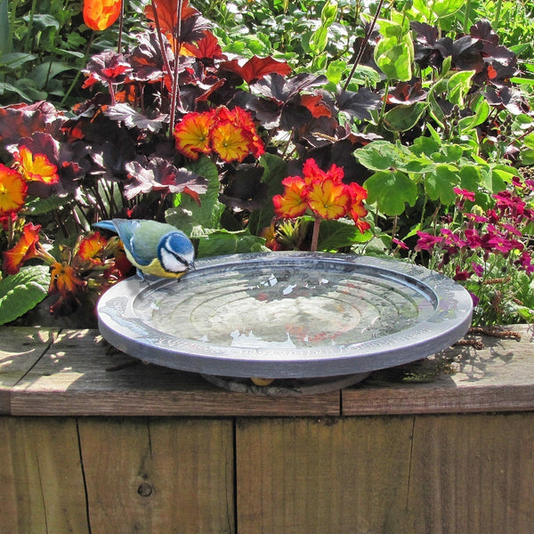 Aristotle Oasis vogelbad