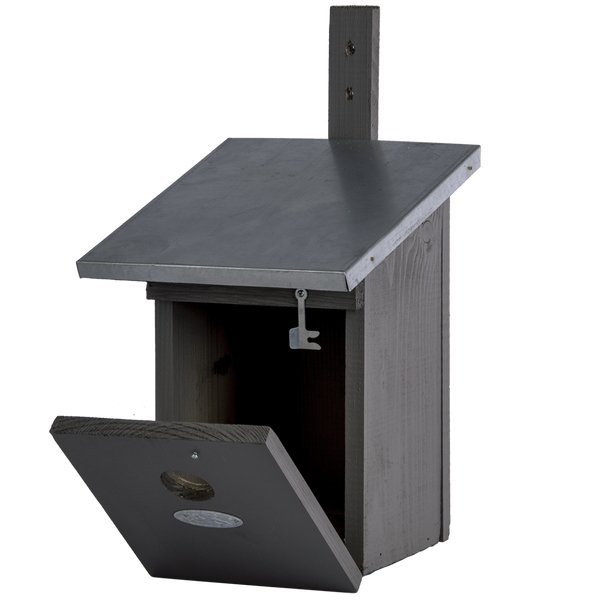 Nesting box great tit grey