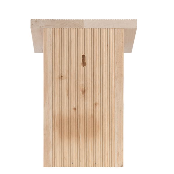 Blue tit nest box