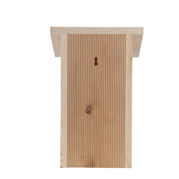 Great tit nest box