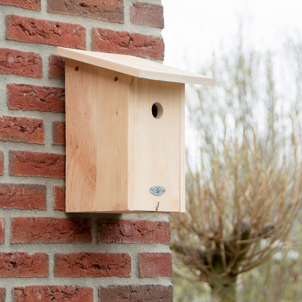 Great tit nest box