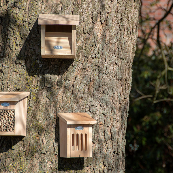 Robin nest box