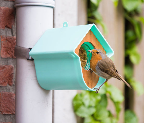 SingingFriend -Pindakaaspothouder Evie - mint