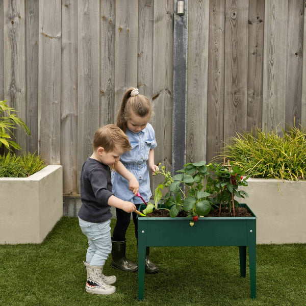 Esschert Design Verhoogde Kweekbak Metaal Groen S – Compacte moestuinbak 62×29×45 cm (20 L)