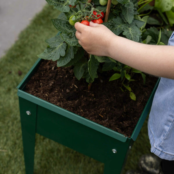 Esschert Design Verhoogde Kweekbak Metaal Groen S – Compacte moestuinbak 62×29×45 cm (20 L)